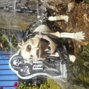 Meet your Posher, Gina